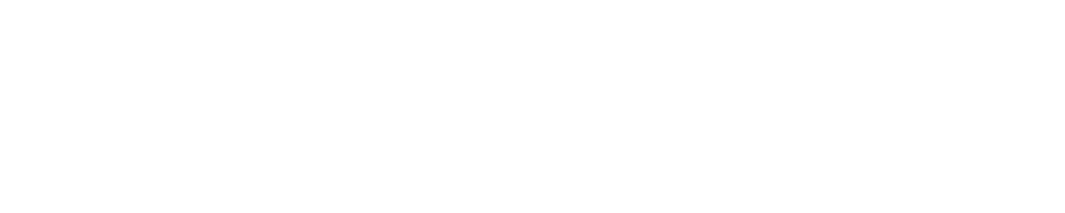 Swift Max Logo