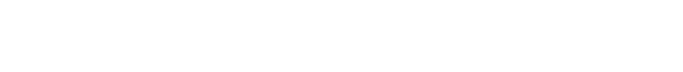 제오라이트 GT Logo