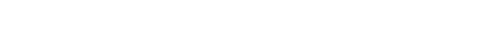 Speedster 3 Logo